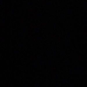 Meet your Posher, Dempsey